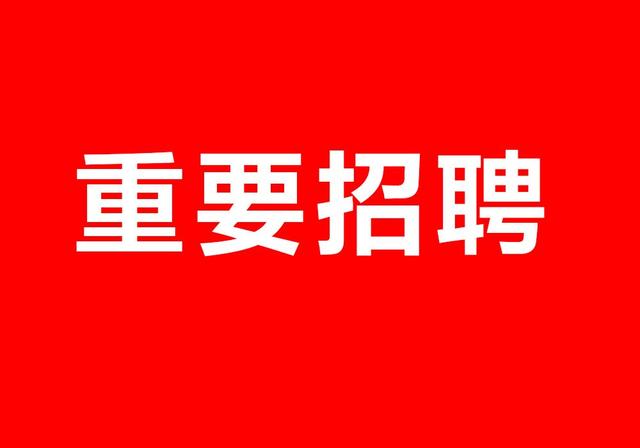 临夏最新招聘动态及其地区影响分析