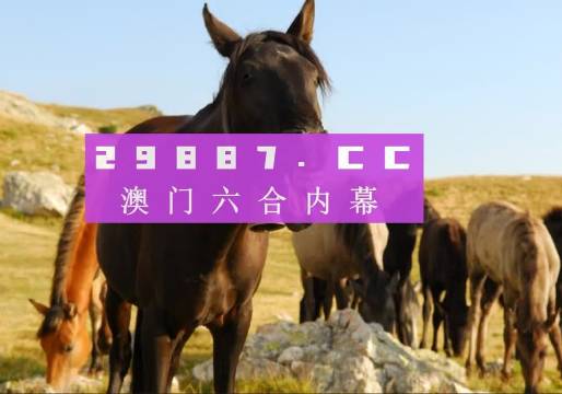 管家婆澳门免费公开图,解析说明预测_PT型4.93