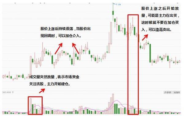 2024澳门天天开好彩大全最新版本,内涵解答解释落实_可调集7.566