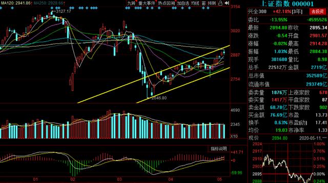 马信琪最新持股全面解析