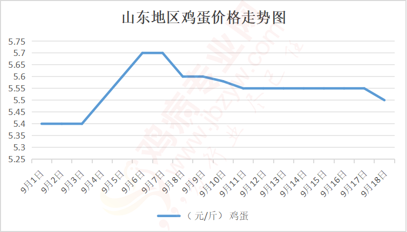 山东今日鸡蛋价格动态解析