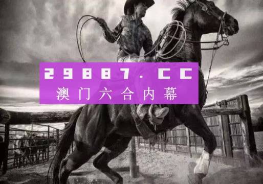 澳门4949精准正版资料,经典解释落实_纪念版3.866