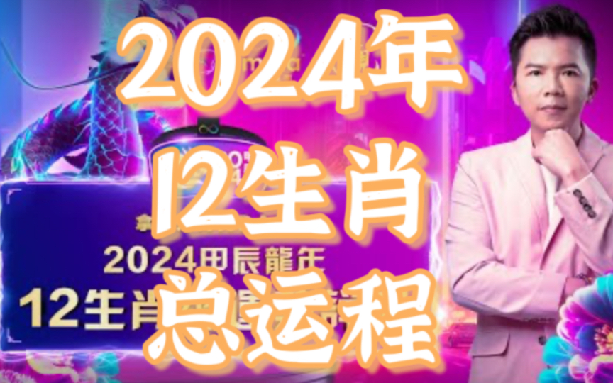 2024一肖一码中装,整体规划执行讲解_3DM7.239