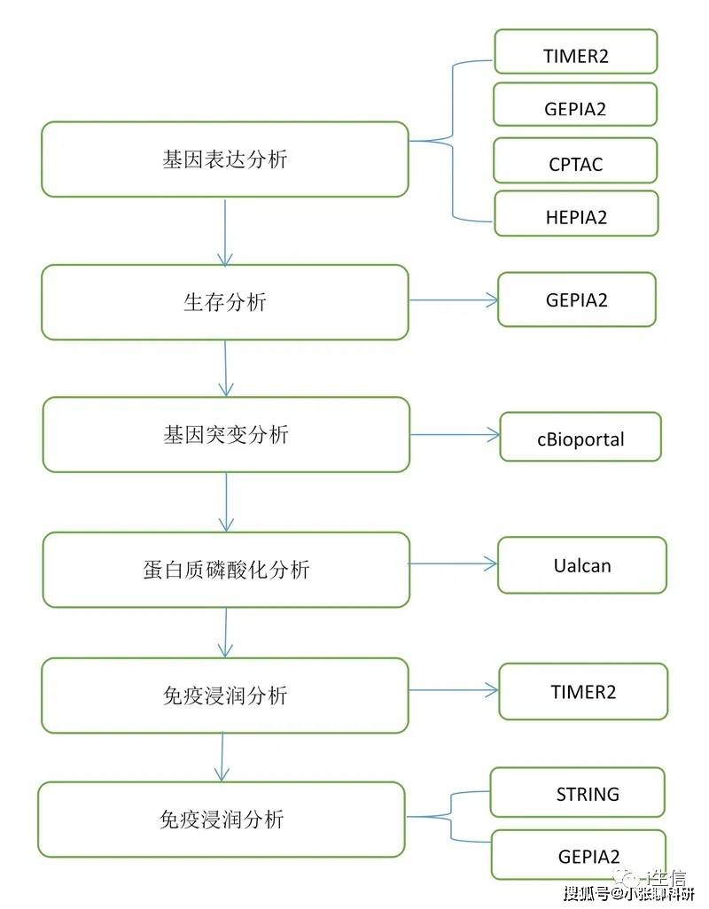 新奥门资料大全正版资料2023年最新版下载安装,国产化作答解释落实_HD38.32.12