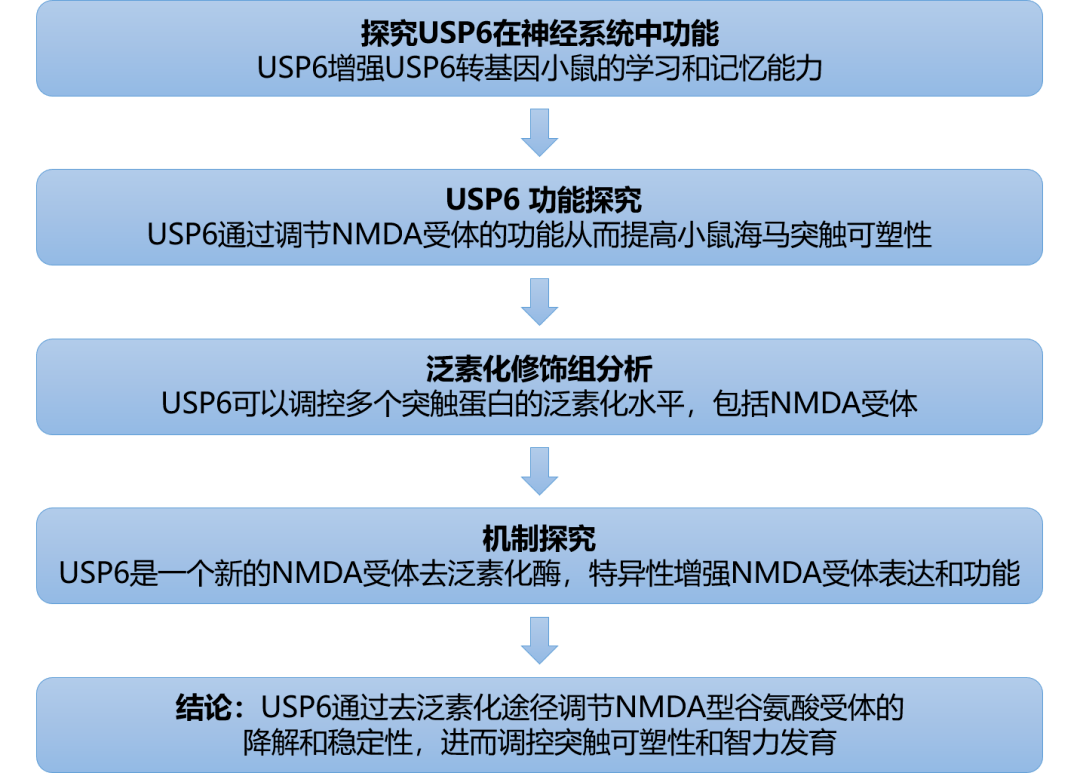 新澳精准资料免费,平衡性策略实施指导_Android256.183