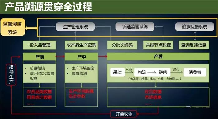 新澳资料最准的网站,数据解析支持策略_战斗版43.589