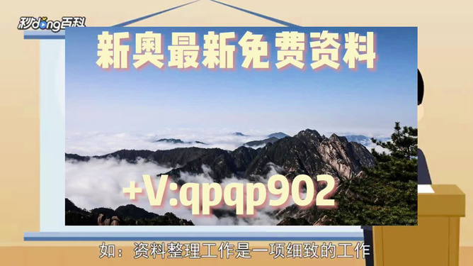 2024年新奥正版资料免费大全,标准化流程评估_安卓35.113