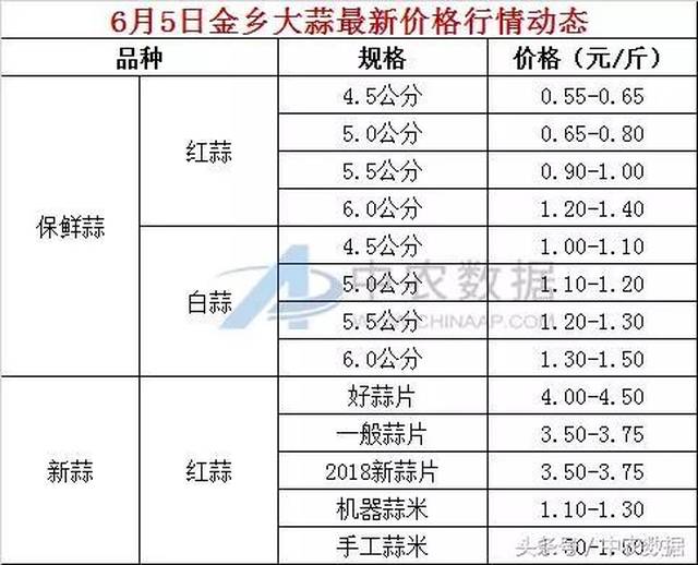 金乡大蒜今日最新价格动态解析