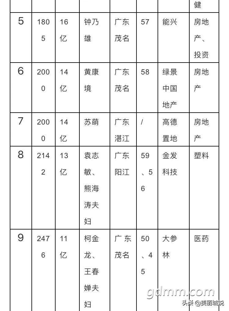 吴川最新富豪榜揭示财富增长背后的传奇故事