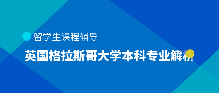 2024新奥资料免费精准,专业解析说明_AR版50.312