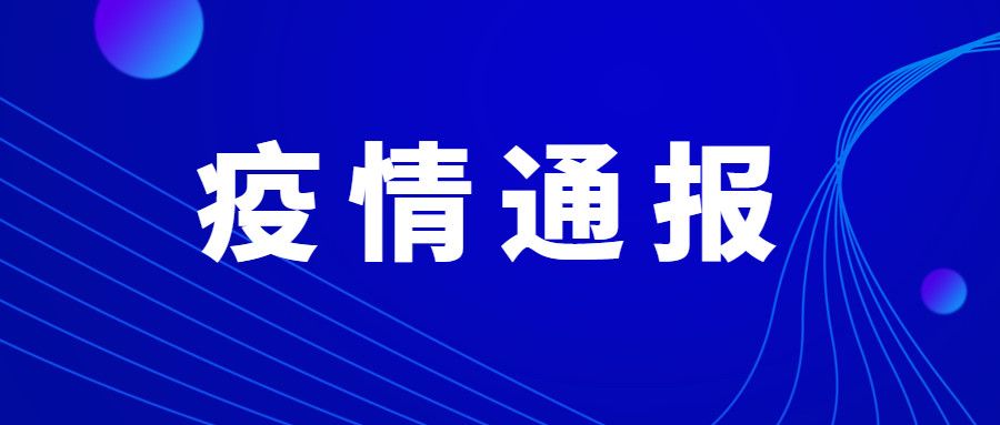 2024年新澳门天天开奖免费查询,实效设计方案_V219.380