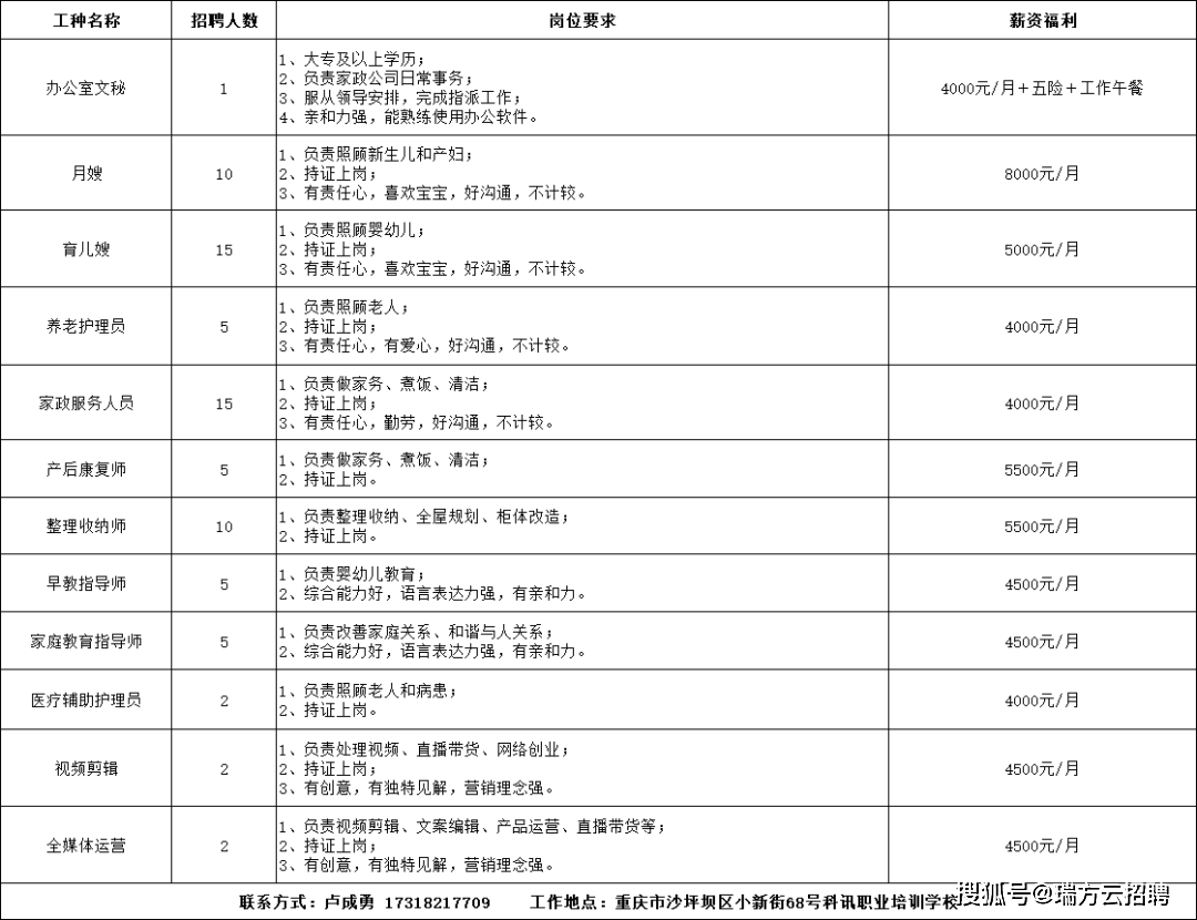 沙坪坝最新招聘信息总览