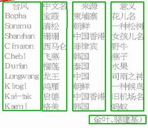 2024年11月12日 第33页