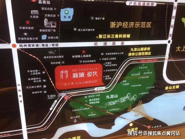 2024年正版管家婆最新版本,专家说明解析_XE版34.125