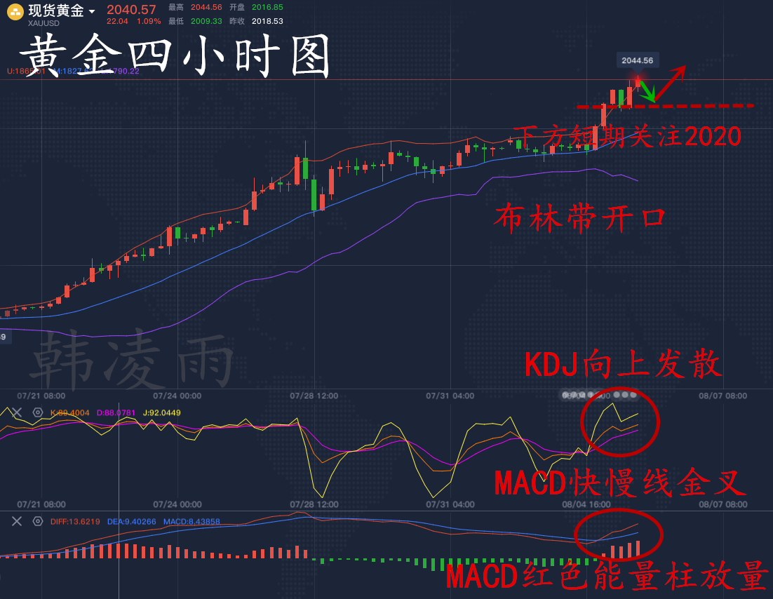 四不像今晚必中一肖,深度应用数据策略_黄金版64.345