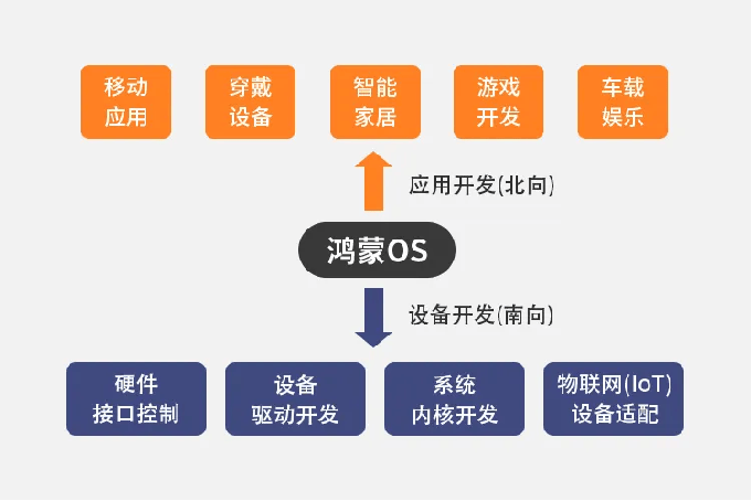 2024年11月13日 第34页