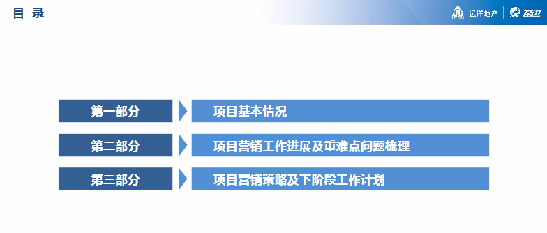 新奥门特免费资料查询,调整方案执行细节_旗舰款46.229