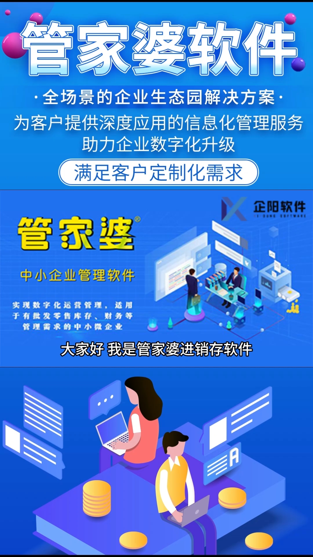 2024年管家婆资料,数据分析说明_win305.210