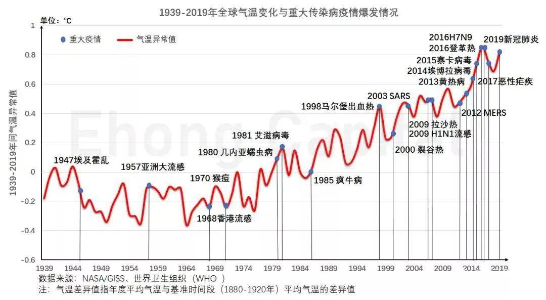 2024年11月15日 第36页