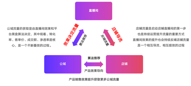 4949澳门开奖现场开奖直播,最佳选择解析说明_尊贵款10.796