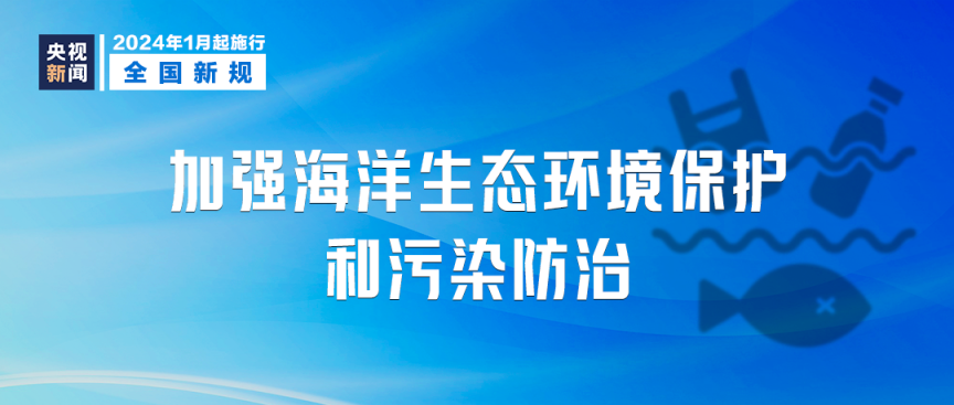 新澳2024正版免费资料,快速设计问题解析_尊享款87.353