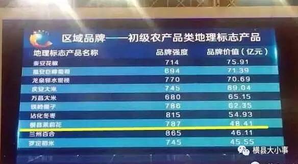 新奥门资料大全,实地数据分析方案_Z48.787