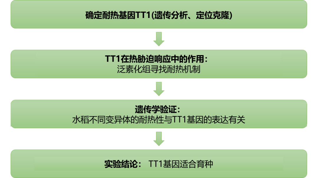 新奥彩资料免费最新版,安全性策略解析_2DM12.694