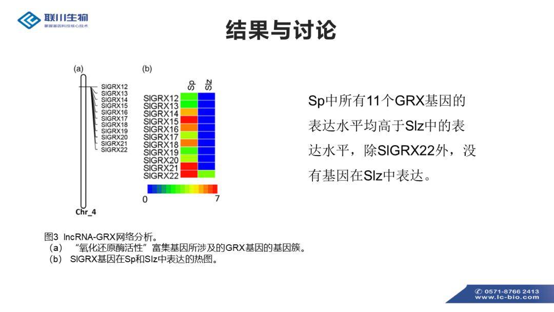 最准一码一肖100准澳门资料,创新定义方案剖析_V73.564