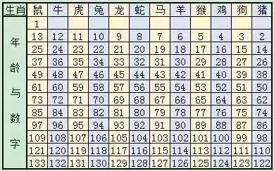 2024十二生肖49码表,专业解析说明_2D35.951