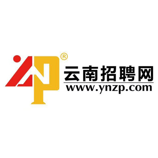 云南省招聘网最新招聘动态深度解读报告