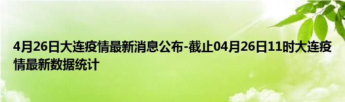 2024年12月20日 第19页