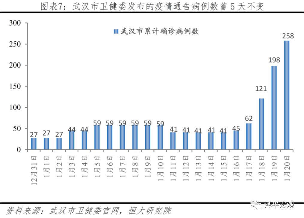 全球视角下的武汉冠状病毒最新动态，疫情进展与应对策略概览