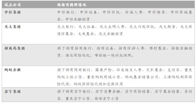 新澳天天开奖资料大全262期,数据解析支持策略_VE版85.36