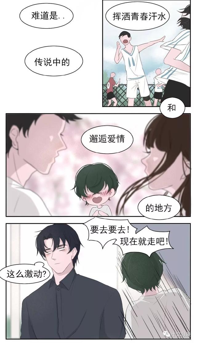 情感与视觉的双重盛宴，最新Love漫画探索之旅