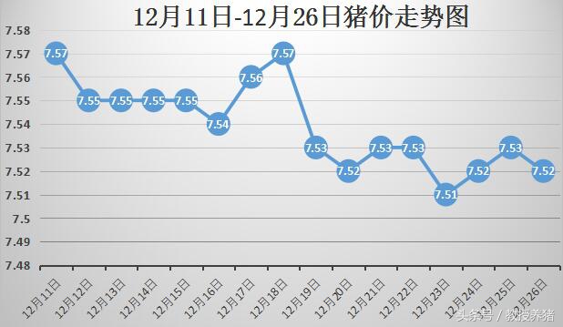 今日猪价行情走势解析