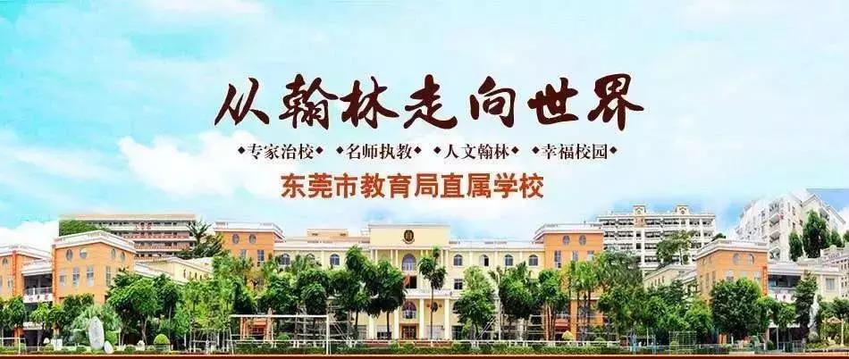 东莞小学最新开学时间详解