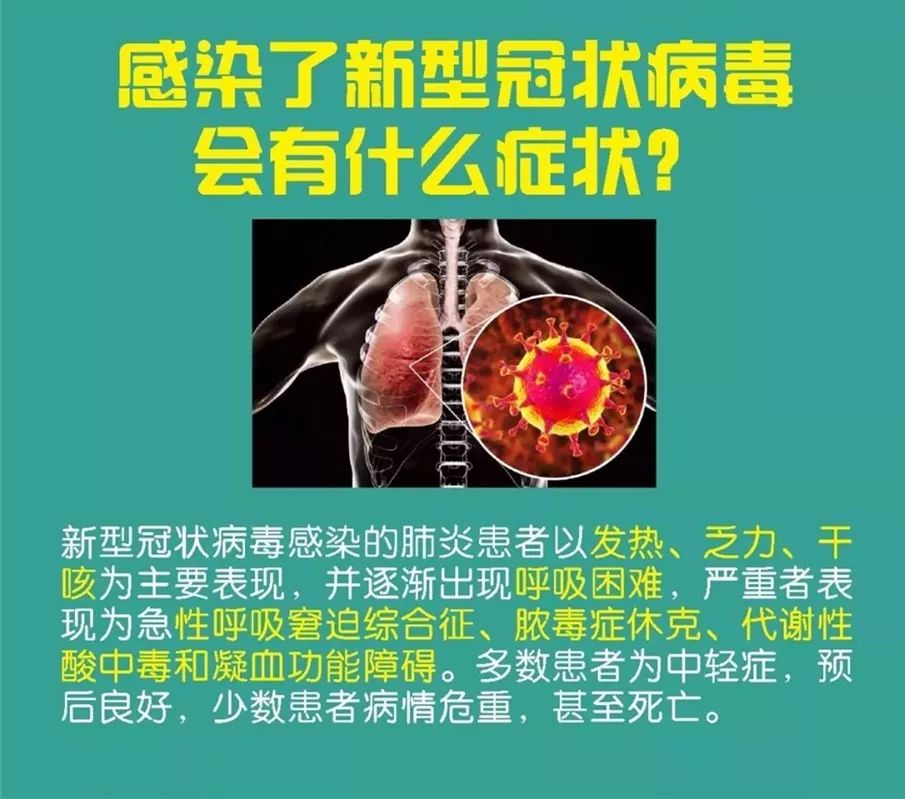 全球新型病毒感染挑战与应对策略