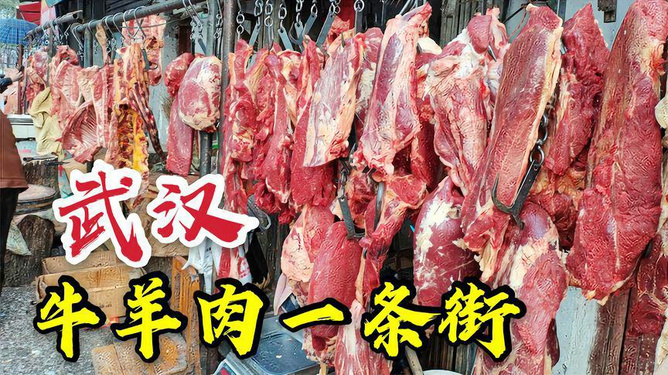 牛羊肉最新价格动态分析今日报告