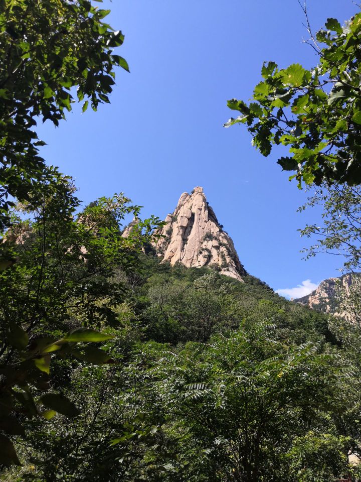 祖山风景区的新魅力与变迁之旅