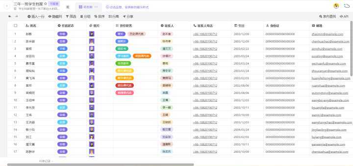 2024新奥正版资料免费,实用性执行策略讲解_win305.210