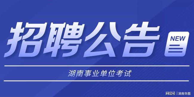 邵东招聘网最新招聘动态深度解析与解读