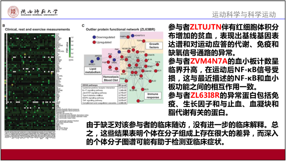 2024新奥正版资料大全,实效解读性策略_升级版56.185