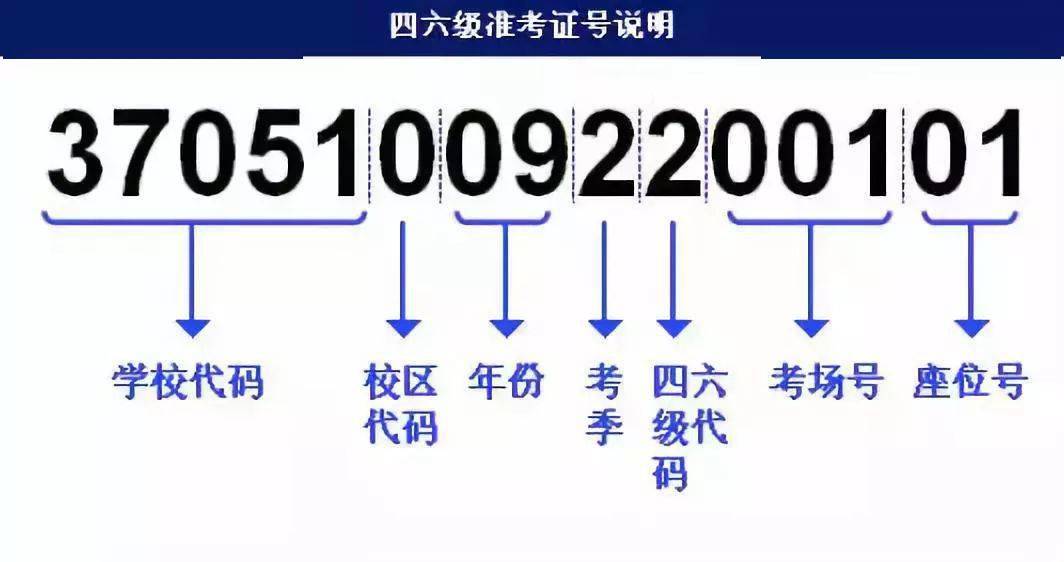 跑狗图2024年今期,迅捷解答方案设计_旗舰款86.794