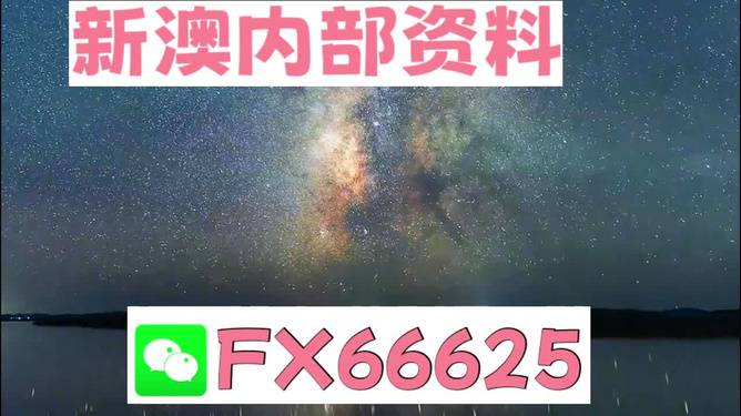 2024新澳天天彩资料免费提供,动态词语解释落实_Essential61.743