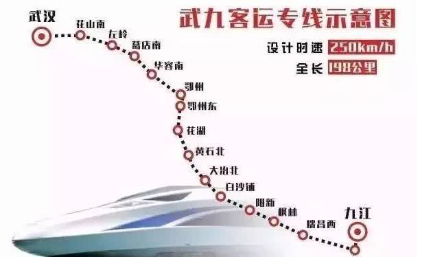 2024年12月7日 第8页