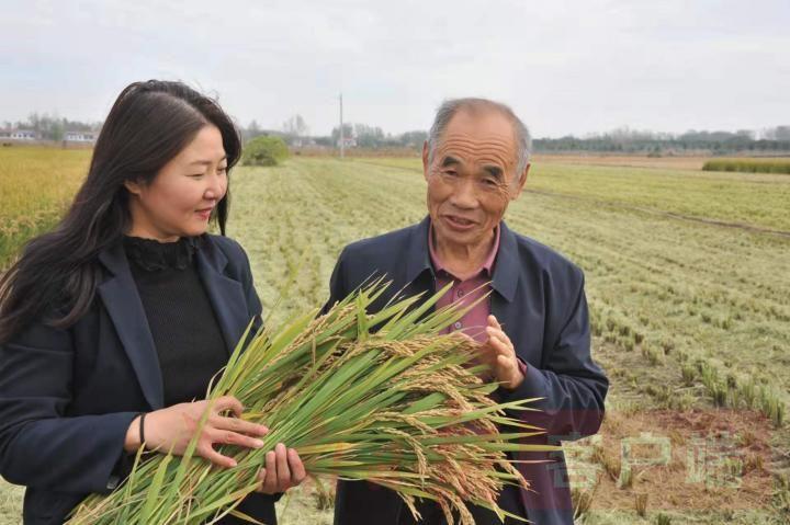 夏邑县胡桥乡新闻快报，最新动态更新