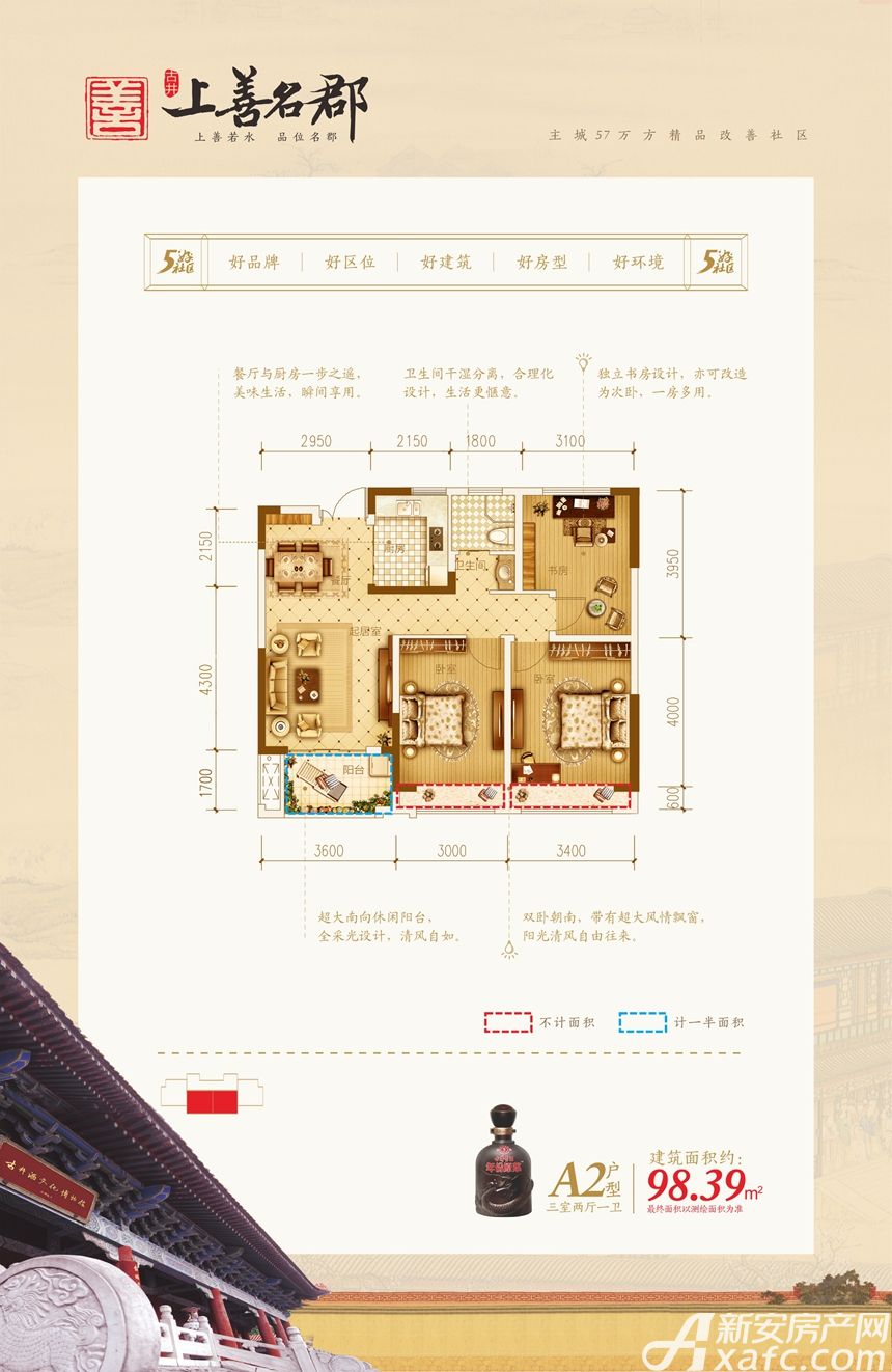 古井上善名郡最新动态深度解析