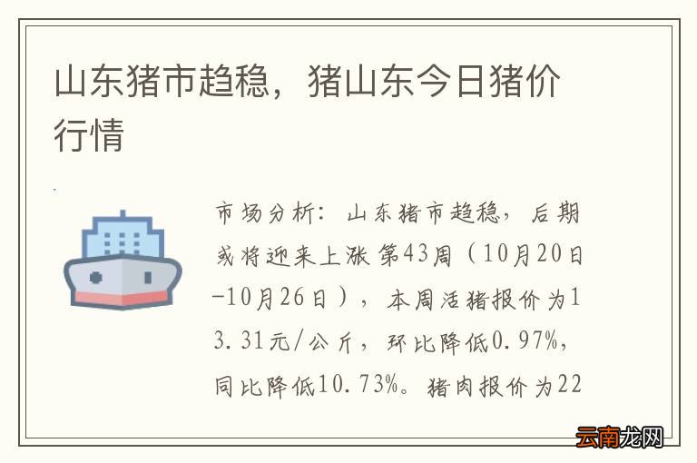 山东明日猪价分析与预测报告